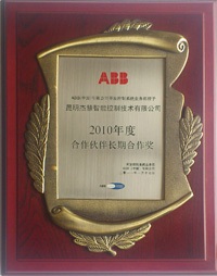 2010年合作伙伴奖